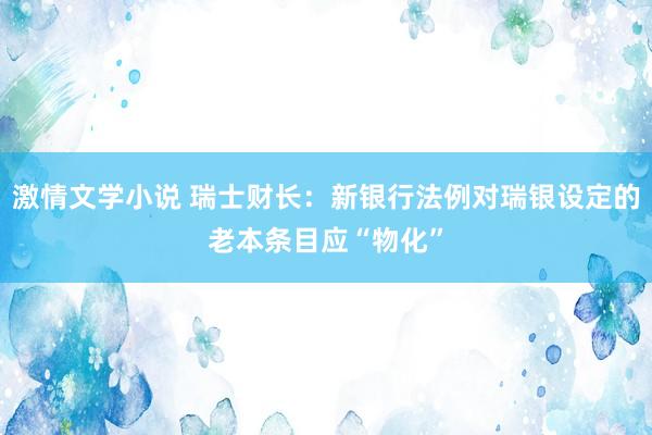 激情文学小说 瑞士财长：新银行法例对瑞银设定的老本条目应“物化”