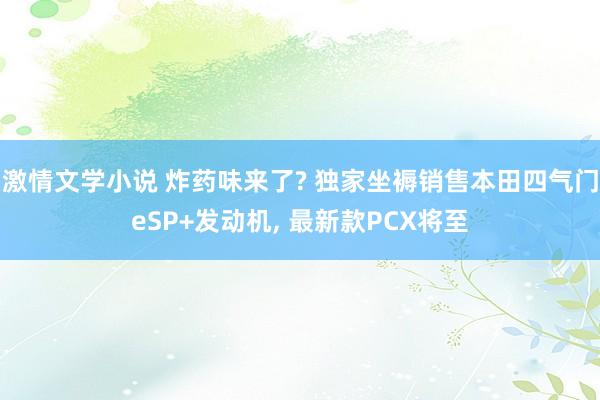 激情文学小说 炸药味来了? 独家坐褥销售本田四气门eSP+发动机， 最新款PCX将至