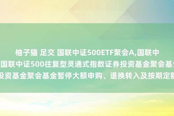 柚子猫 足交 国联中证500ETF聚会A，国联中证500ETF聚会C: 对于国联中证500往复型灵通式指数证券投资基金聚会基金暂停大额申购、退换转入及按期定额投资业务的公告