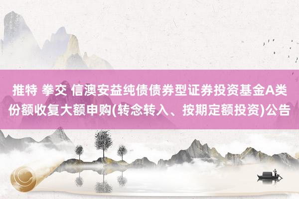 推特 拳交 信澳安益纯债债券型证券投资基金A类份额收复大额申购(转念转入、按期定额投资)公告