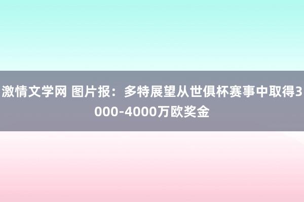 激情文学网 图片报：多特展望从世俱杯赛事中取得3000-4000万欧奖金