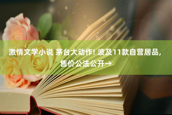 激情文学小说 茅台大动作! 波及11款自营居品， 售价公法公开→