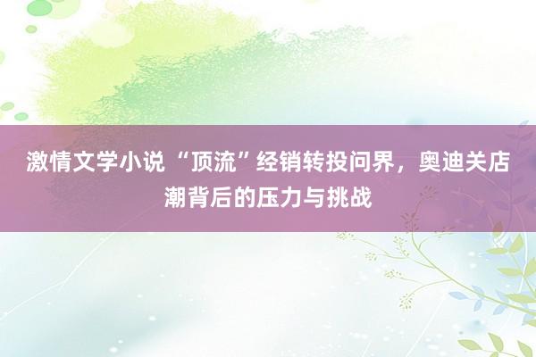 激情文学小说 “顶流”经销转投问界，奥迪关店潮背后的压力与挑战