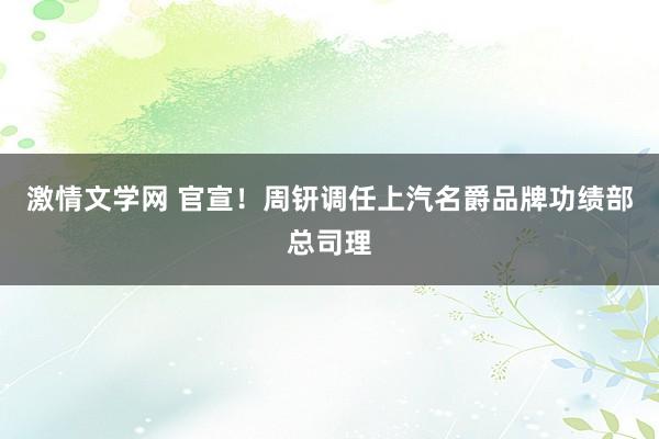 激情文学网 官宣！周钘调任上汽名爵品牌功绩部总司理