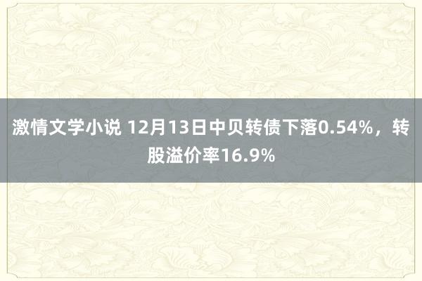 激情文学小说 12月13日中贝转债下落0.54%，转股溢价率16.9%