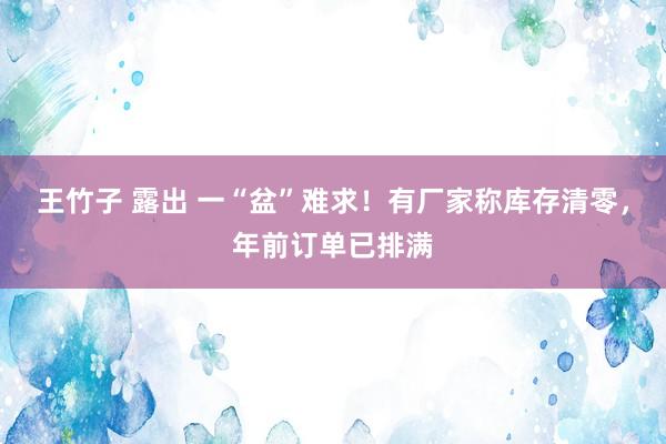 王竹子 露出 一“盆”难求！有厂家称库存清零，年前订单已排满