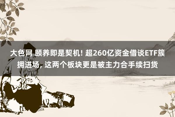 大色网 颐养即是契机! 超260亿资金借谈ETF簇拥进场， 这两个板块更是被主力合手续扫货