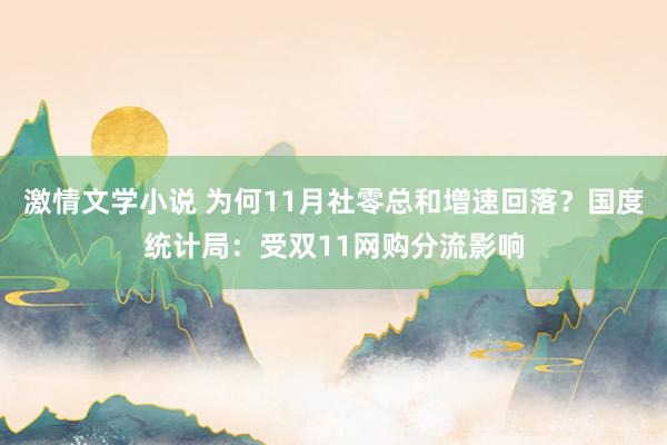 激情文学小说 为何11月社零总和增速回落？国度统计局：受双11网购分流影响