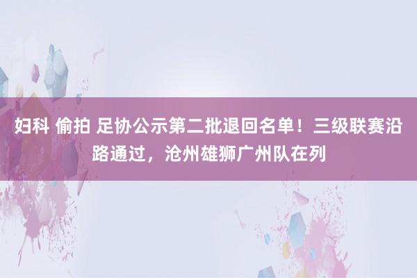 妇科 偷拍 足协公示第二批退回名单！三级联赛沿路通过，沧州雄狮广州队在列