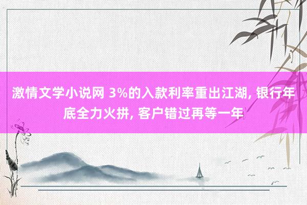 激情文学小说网 3%的入款利率重出江湖， 银行年底全力火拼， 客户错过再等一年