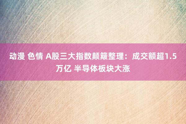 动漫 色情 A股三大指数颠簸整理：成交额超1.5万亿 半导体板块大涨