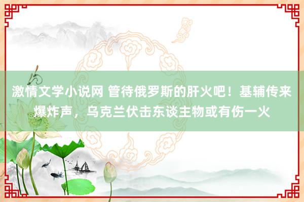 激情文学小说网 管待俄罗斯的肝火吧！基辅传来爆炸声，乌克兰伏击东谈主物或有伤一火