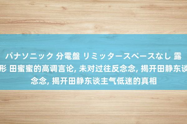 パナソニック 分電盤 リミッタースペースなし 露出・半埋込両用形 田蜜蜜的高调言论， 未对过往反念念， 揭开田静东谈主气低迷的真相