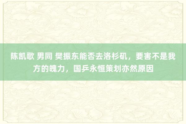 陈凯歌 男同 樊振东能否去洛杉矶，要害不是我方的魄力，国乒永恒策划亦然原因