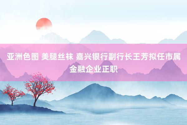 亚洲色图 美腿丝袜 嘉兴银行副行长王芳拟任市属金融企业正职