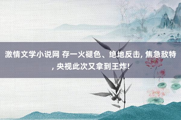 激情文学小说网 存一火褪色、绝地反击， 焦急敌特， 央视此次又拿到王炸!