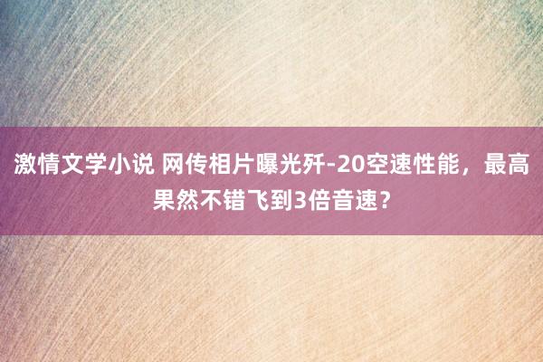 激情文学小说 网传相片曝光歼-20空速性能，最高果然不错飞到3倍音速？