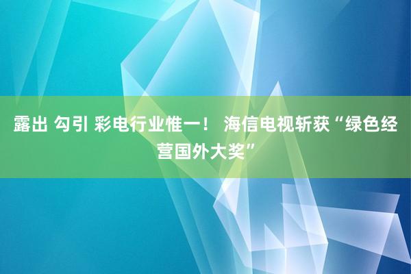 露出 勾引 彩电行业惟一！ 海信电视斩获“绿色经营国外大奖”