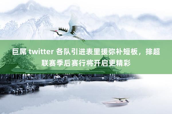 巨屌 twitter 各队引进表里援弥补短板，排超联赛季后赛行将开启更精彩