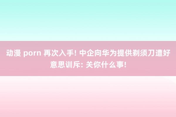 动漫 porn 再次入手! 中企向华为提供剃须刀遭好意思训斥: 关你什么事!