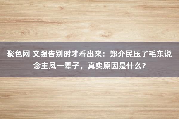 聚色网 文强告别时才看出来：郑介民压了毛东说念主凤一辈子，真实原因是什么？