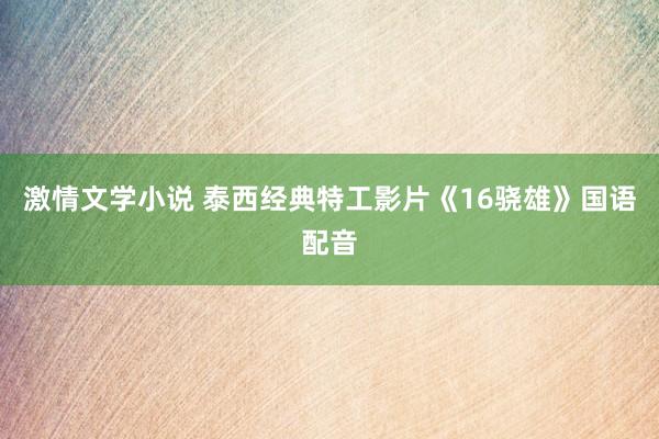 激情文学小说 泰西经典特工影片《16骁雄》国语配音