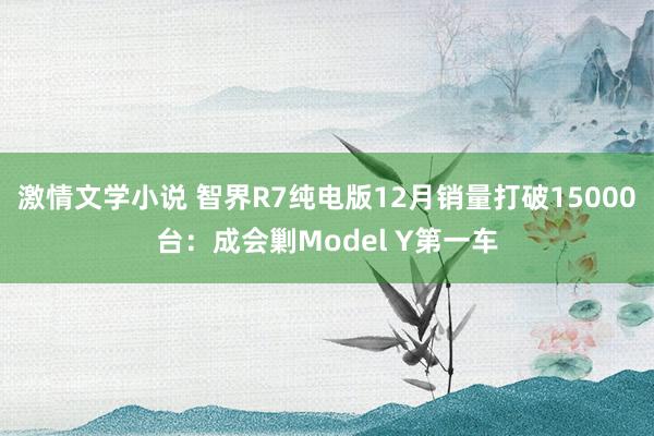 激情文学小说 智界R7纯电版12月销量打破15000台：成会剿Model Y第一车