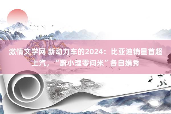 激情文学网 新动力车的2024：比亚迪销量首超上汽，“蔚小理零问米”各自娟秀