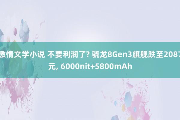 激情文学小说 不要利润了? 骁龙8Gen3旗舰跌至2087元， 6000nit+5800mAh