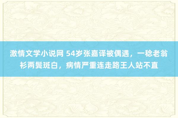 激情文学小说网 54岁张嘉译被偶遇，一稔老翁衫两鬓斑白，病情严重连走路王人站不直