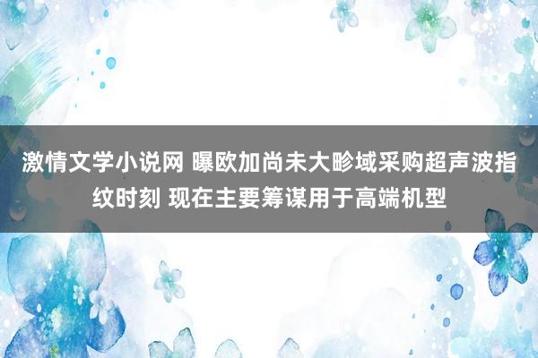 激情文学小说网 曝欧加尚未大畛域采购超声波指纹时刻 现在主要筹谋用于高端机型