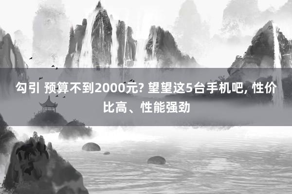 勾引 预算不到2000元? 望望这5台手机吧， 性价比高、性能强劲