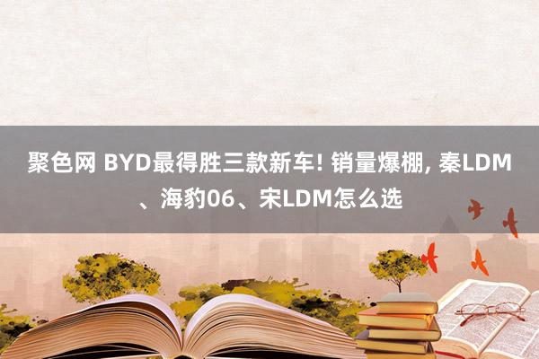 聚色网 BYD最得胜三款新车! 销量爆棚， 秦LDM、海豹06、宋LDM怎么选