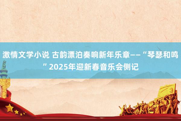 激情文学小说 古韵漂泊奏响新年乐章——“琴瑟和鸣”2025年迎新春音乐会侧记