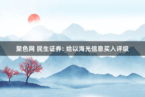 聚色网 民生证券: 给以海光信息买入评级