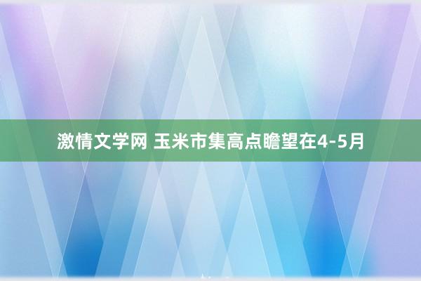 激情文学网 玉米市集高点瞻望在4-5月